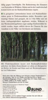Faltblatt 'Die Rauhautfledermaus' (Seite 6)
